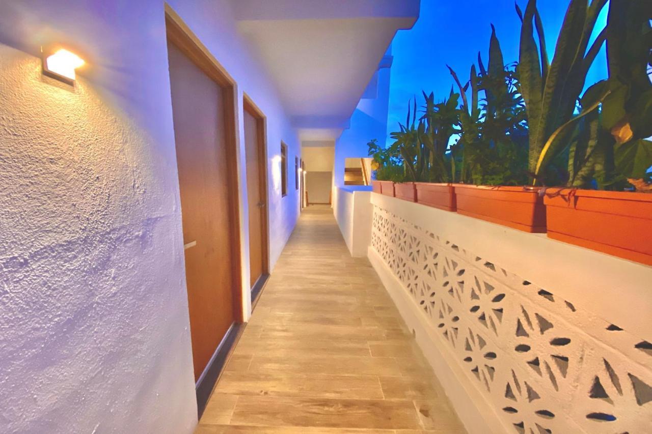 Casa Palo Verde Cabo San Lucas Exterior foto